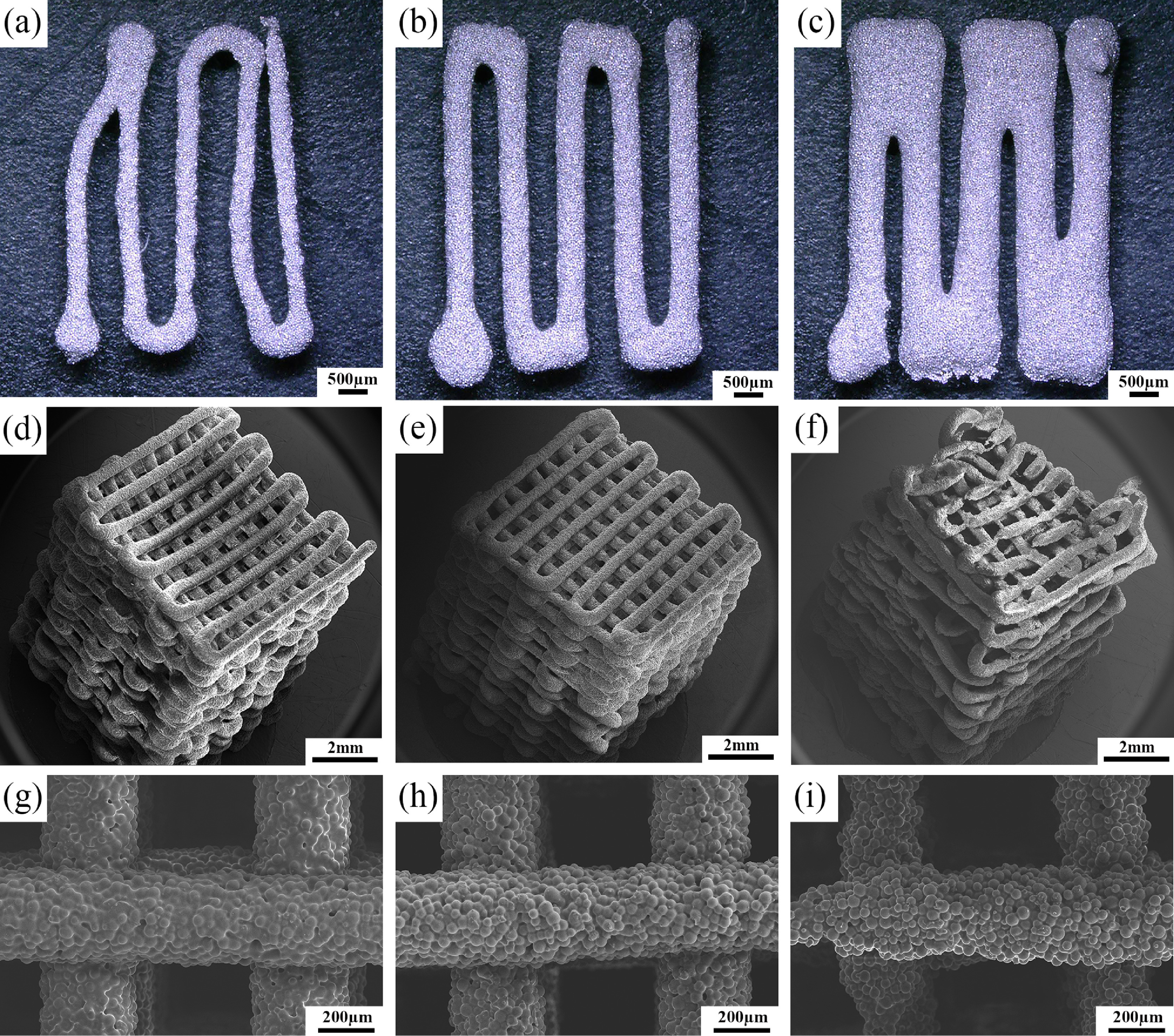 3D printed porous magnesium scaffolds show potential as bone-substituting material