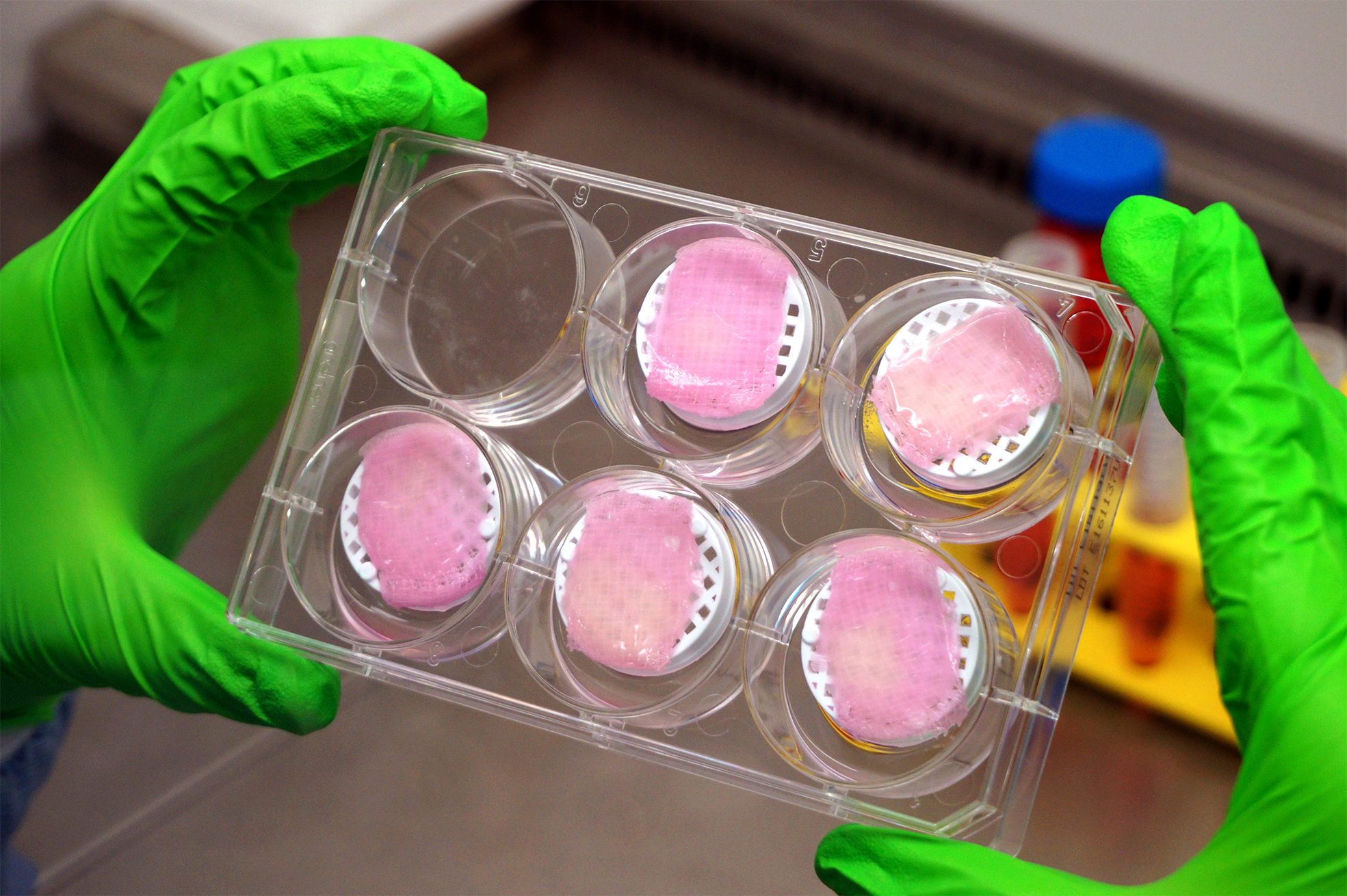 Poietis Granted European Patent for Laser-Assisted 3D Bioprinting