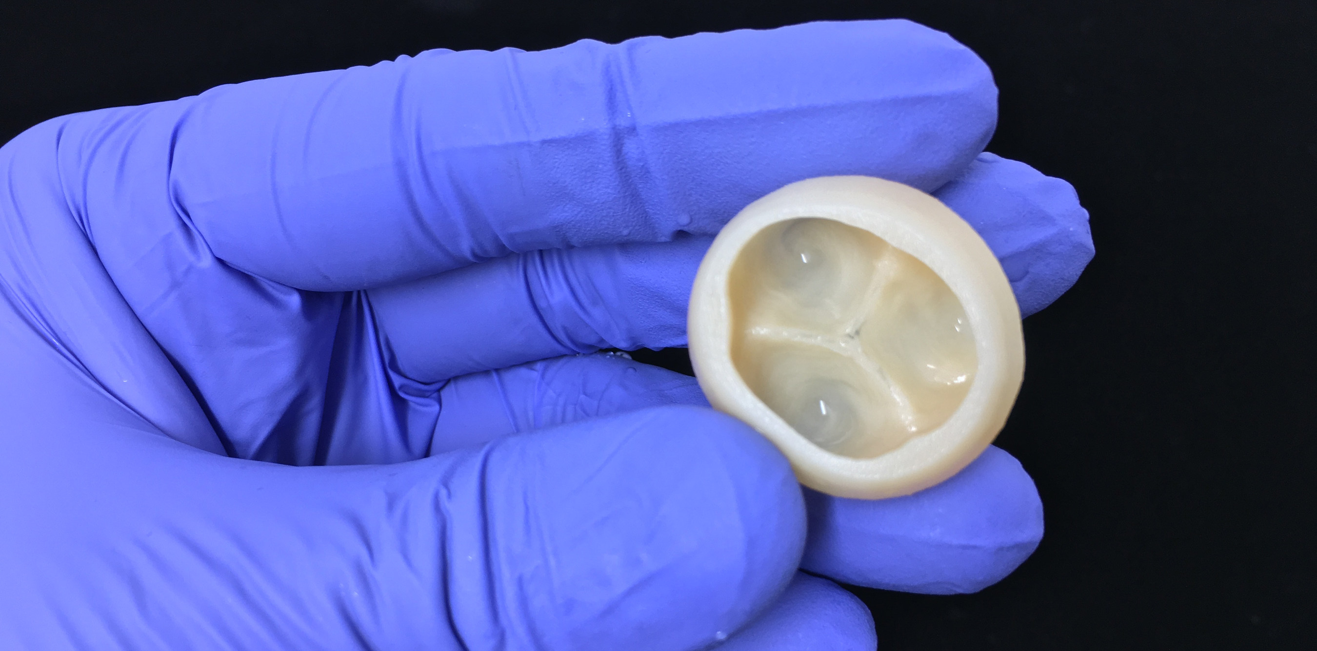 Carnegie Mellon Advances FRESH 3D Bioprinting to Rebuild the Heart
