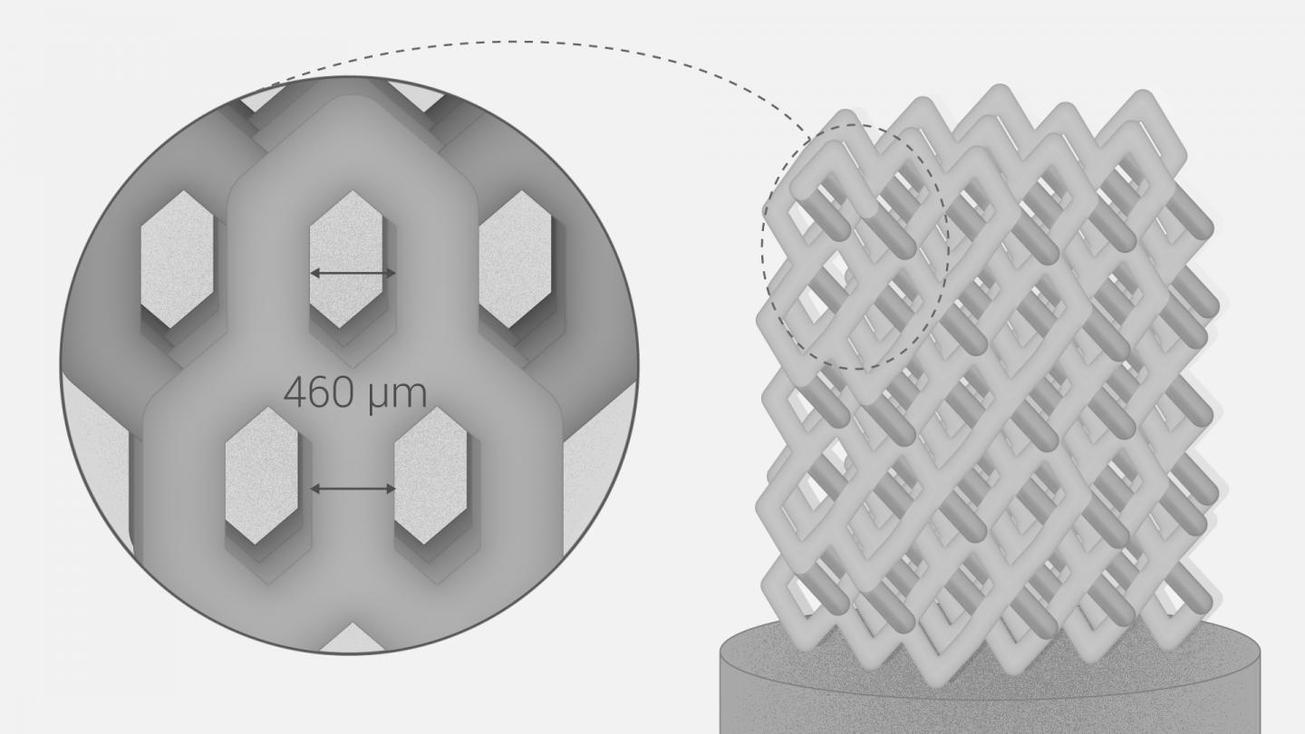 Skoltech scientists develop novel method of 3D printing personalized ceramic bone implants 