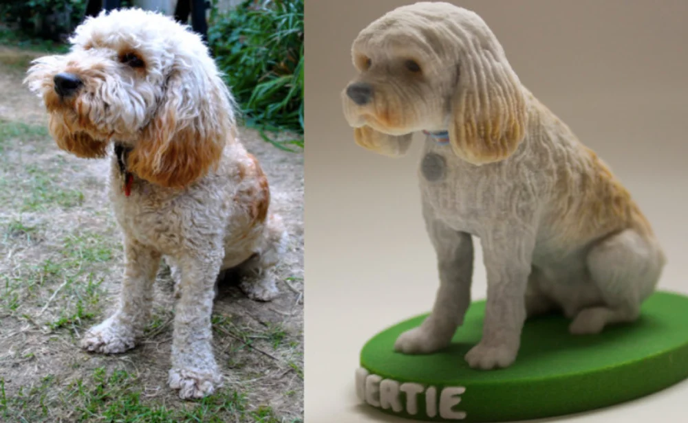 How to Print a 3D Model of My Dog?