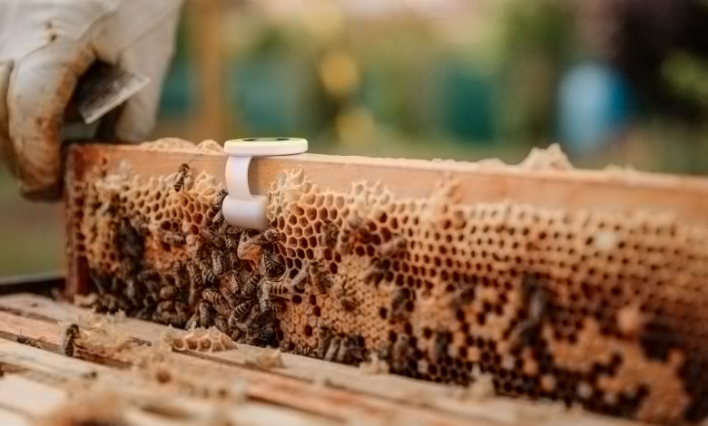 Shapeways’ System Helps Beehives, Off-roaders, and Brewers