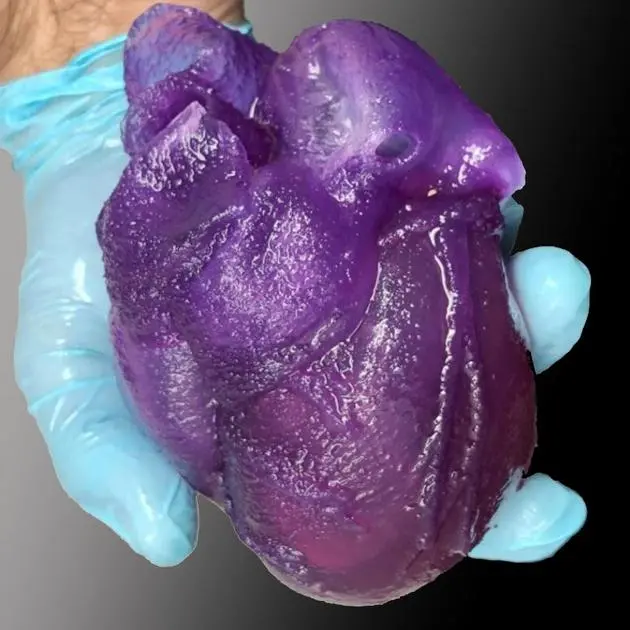 This Squishy 3D-Printed Human Heart Feels Like the Real Thing