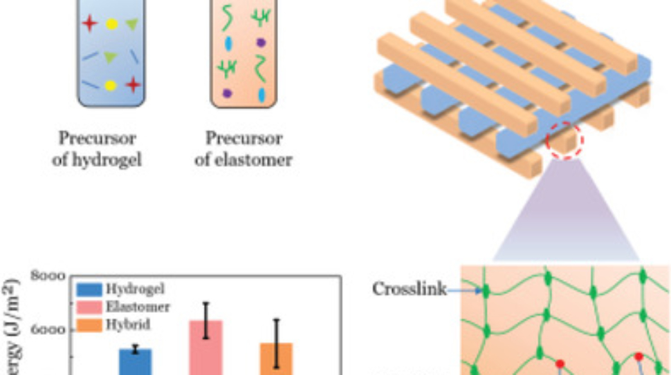 Breakthrough: Printing Hydrogels and Elastomers with Strong Adhesion