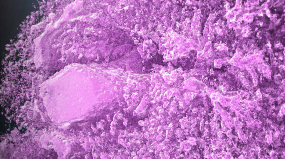 Transcriptic and 3Scan Form Strateos 3D Medical Imaging Company