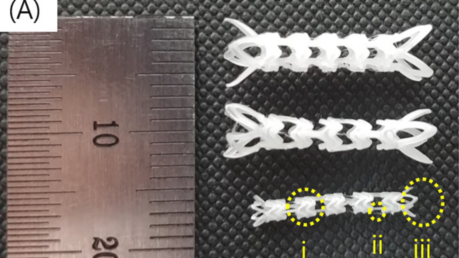POSTECH scientists 3D print stents to combat radiation-induced espophigitis in cancer patients