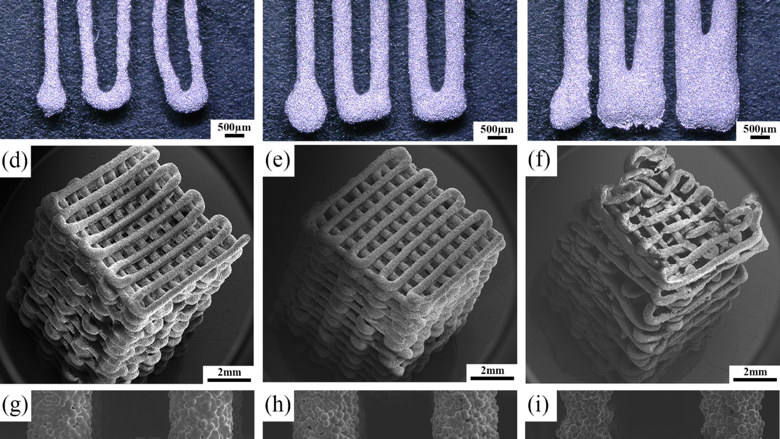 3D printed porous magnesium scaffolds show potential as bone-substituting material