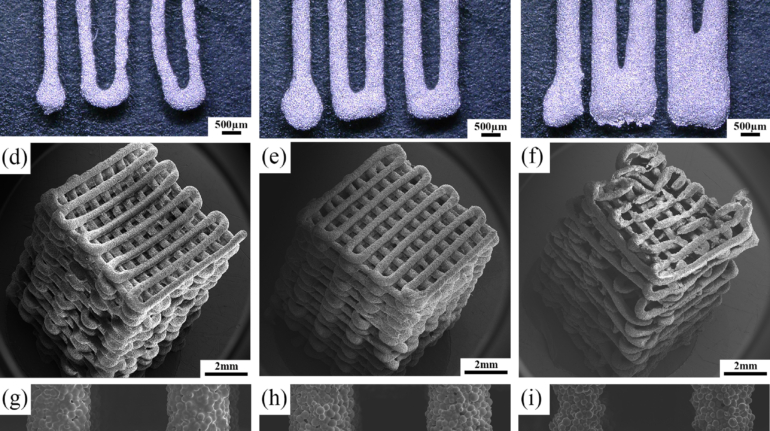 3D printed porous magnesium scaffolds show potential as bone-substituting material