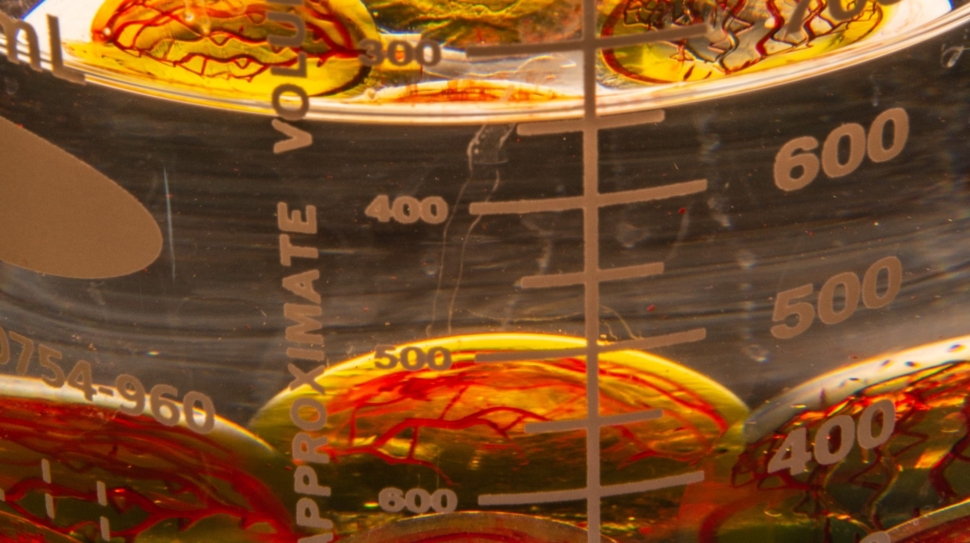 3D Systems and CollPlant to provide solutions for bioprinting tissues and scaffolds