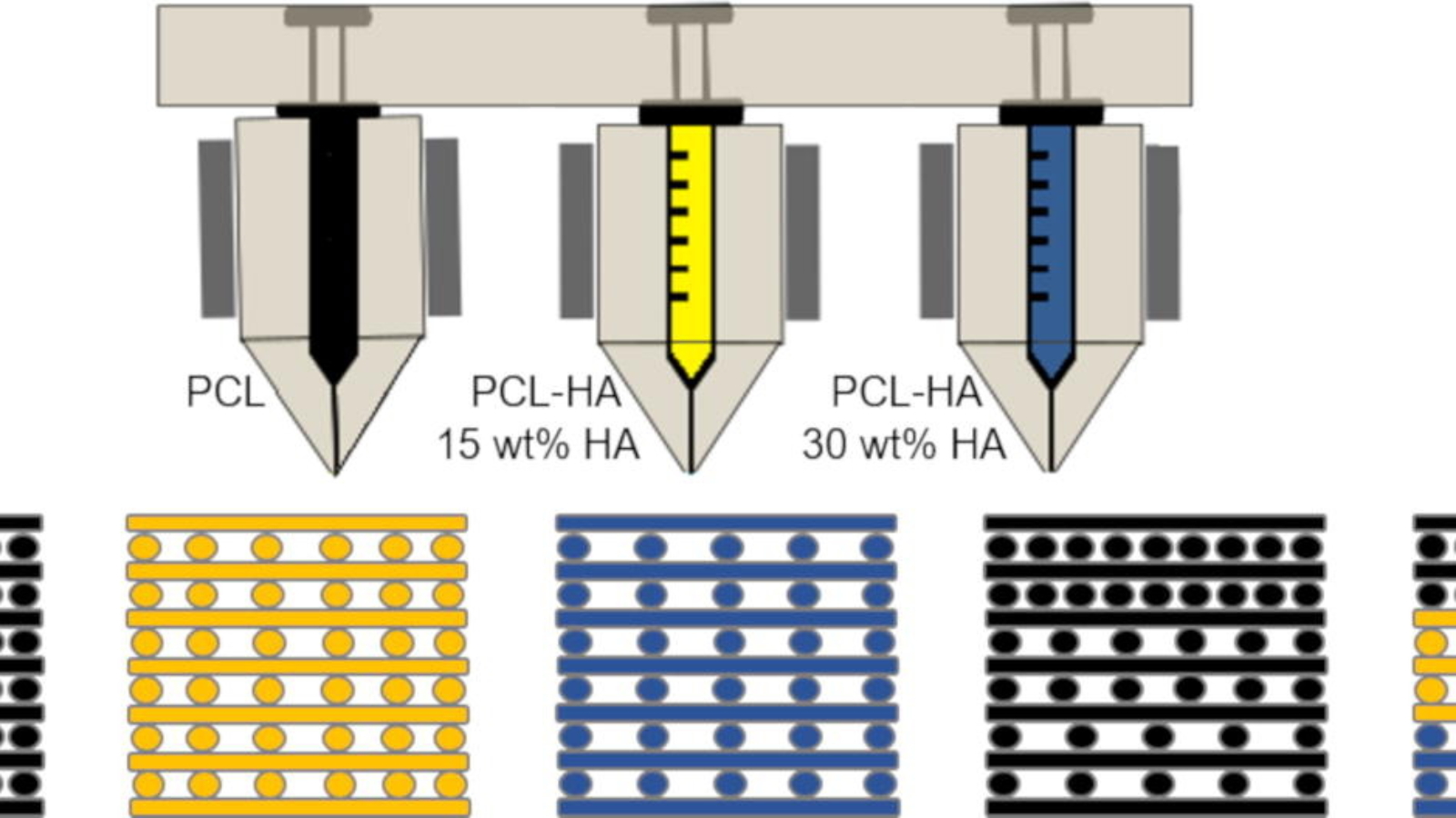 UMD and Rice Take a Big Step Forward for 3D Printed Human Bone