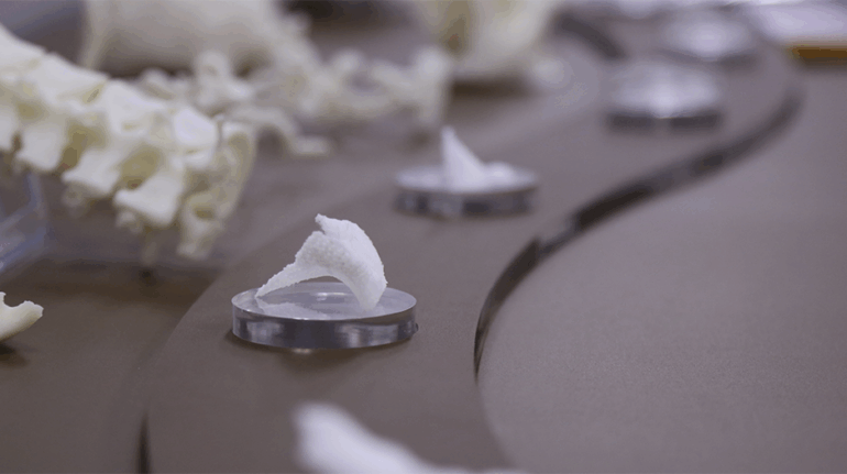 T&R Biofab and SCM Life Science Partner to 3D Print Regenerative Tissue