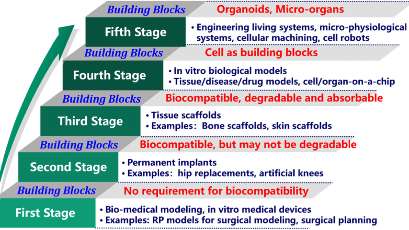 Researchers Create Roadmap for 3D Bioprinting