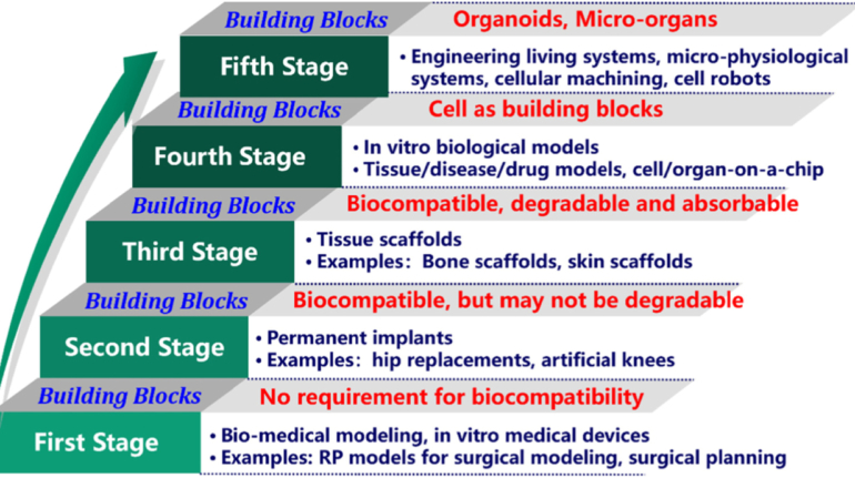 Researchers Create Roadmap for 3D Bioprinting
