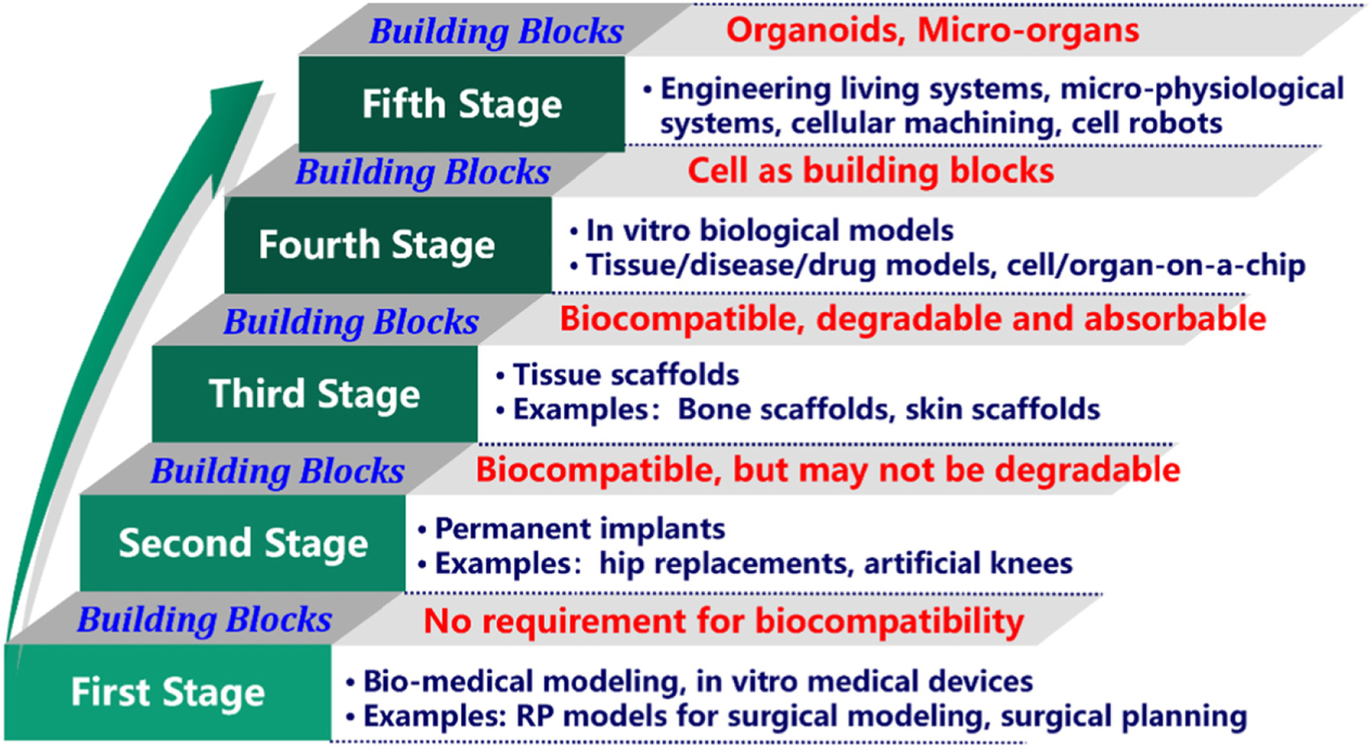 Researchers Create Roadmap for 3D Bioprinting