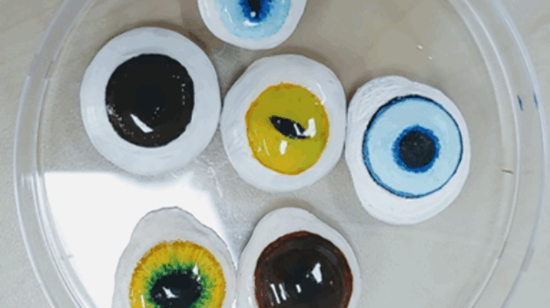 Chungbuk scientists 3D print cheap customizable eye implants for ‘man’s best friend’