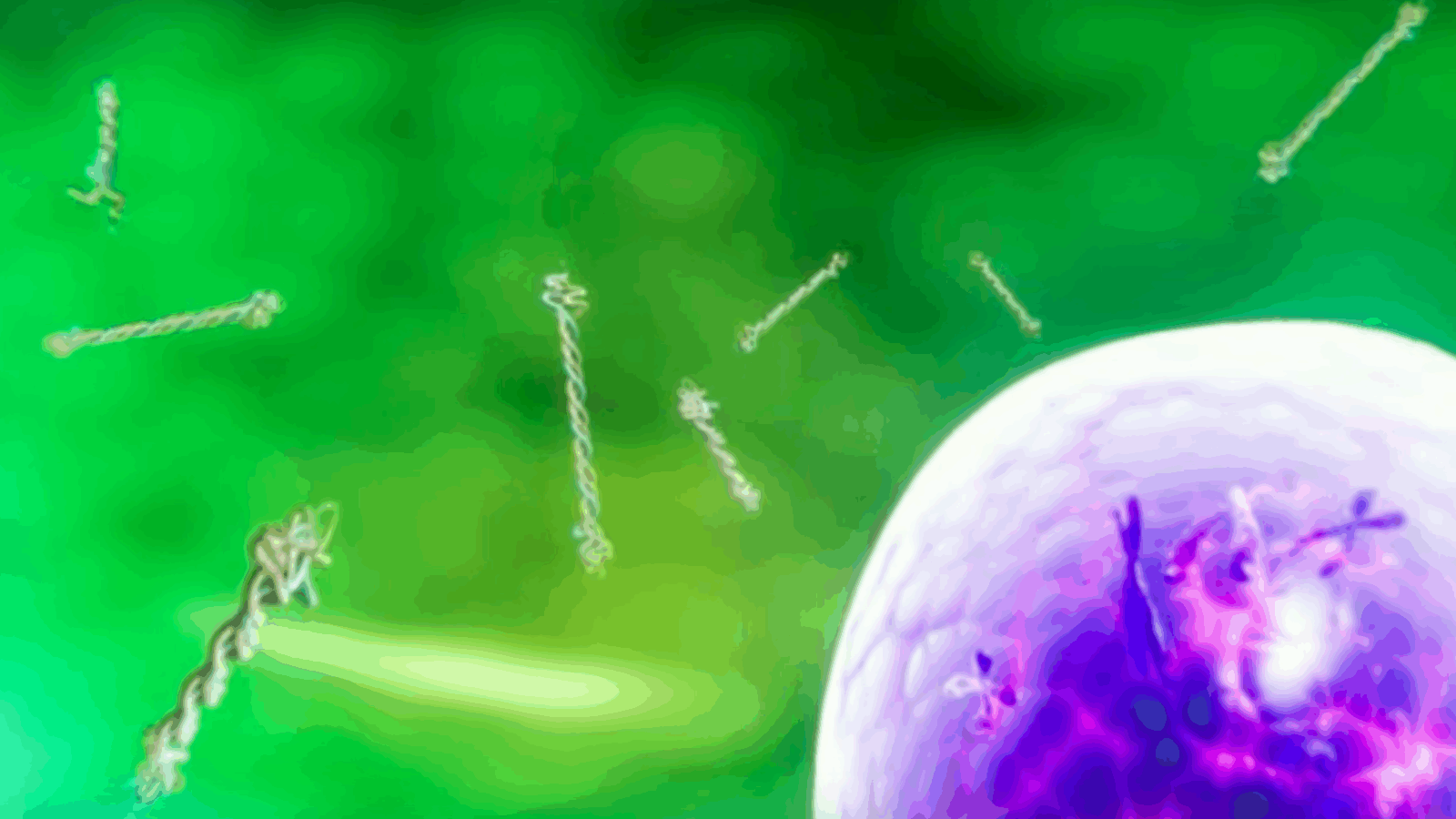 CollPlant Develops First Prototypes for Regenerative 3D Bioprinted Breast Implants