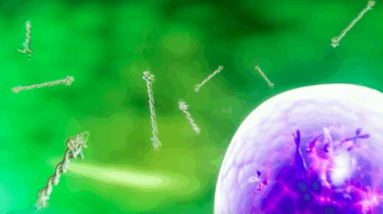 CollPlant Develops First Prototypes for Regenerative 3D Bioprinted Breast Implants