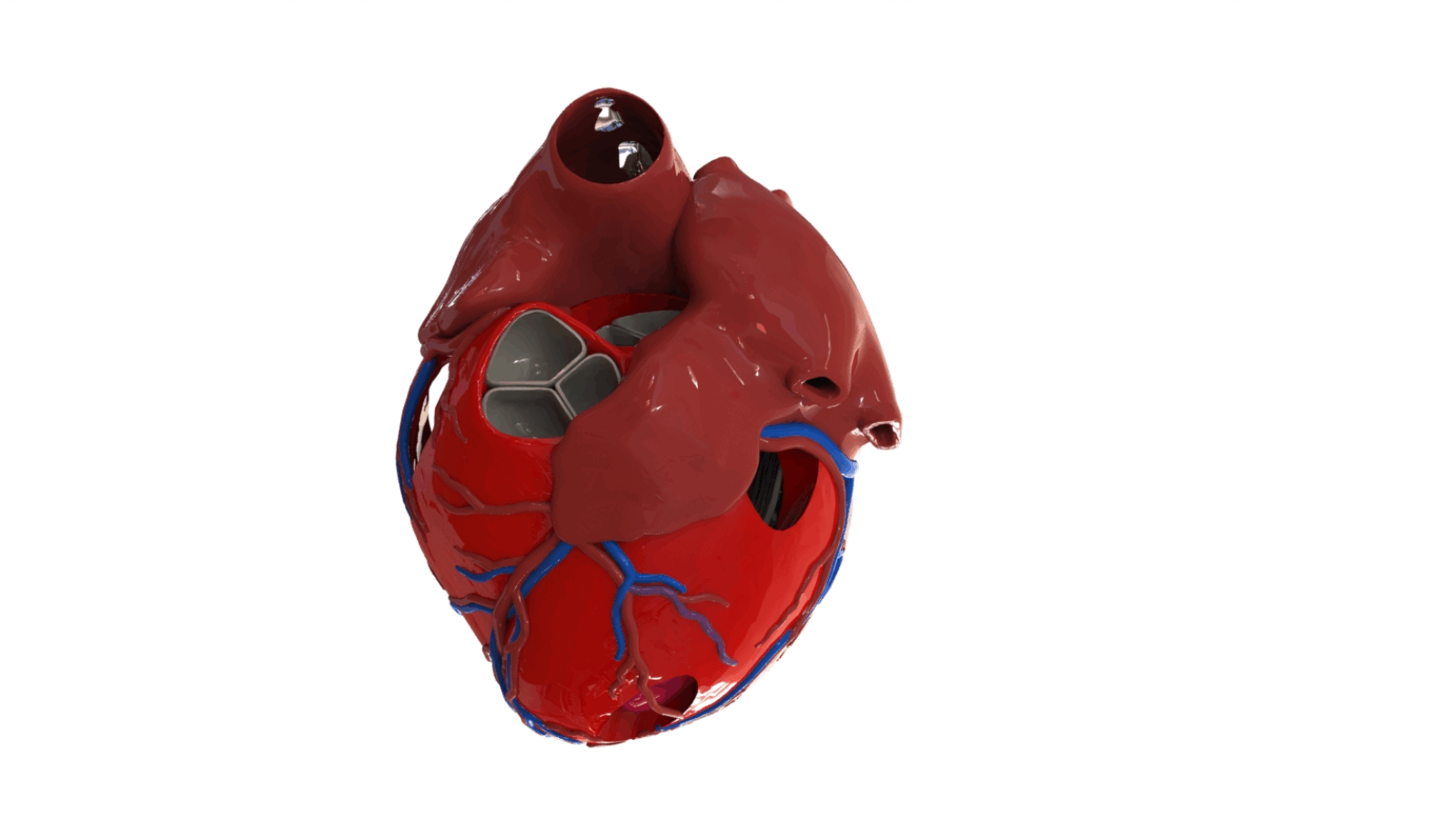AdventHealth Nicholson Center Establishes Medical Additive Manufacturing Lab