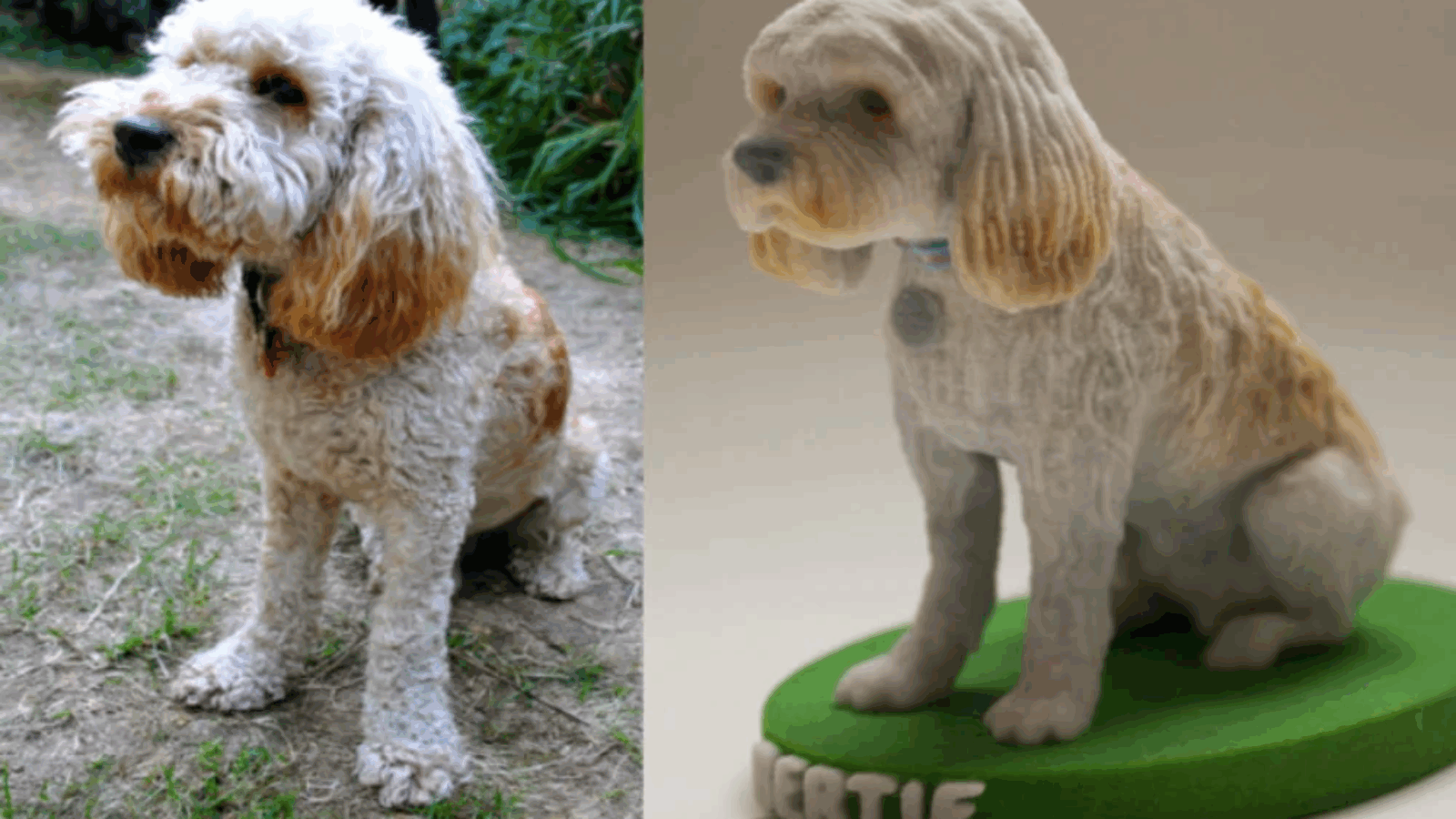 How to Print a 3D Model of My Dog?