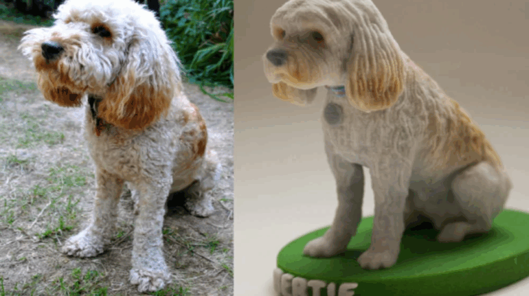 How to Print a 3D Model of My Dog?