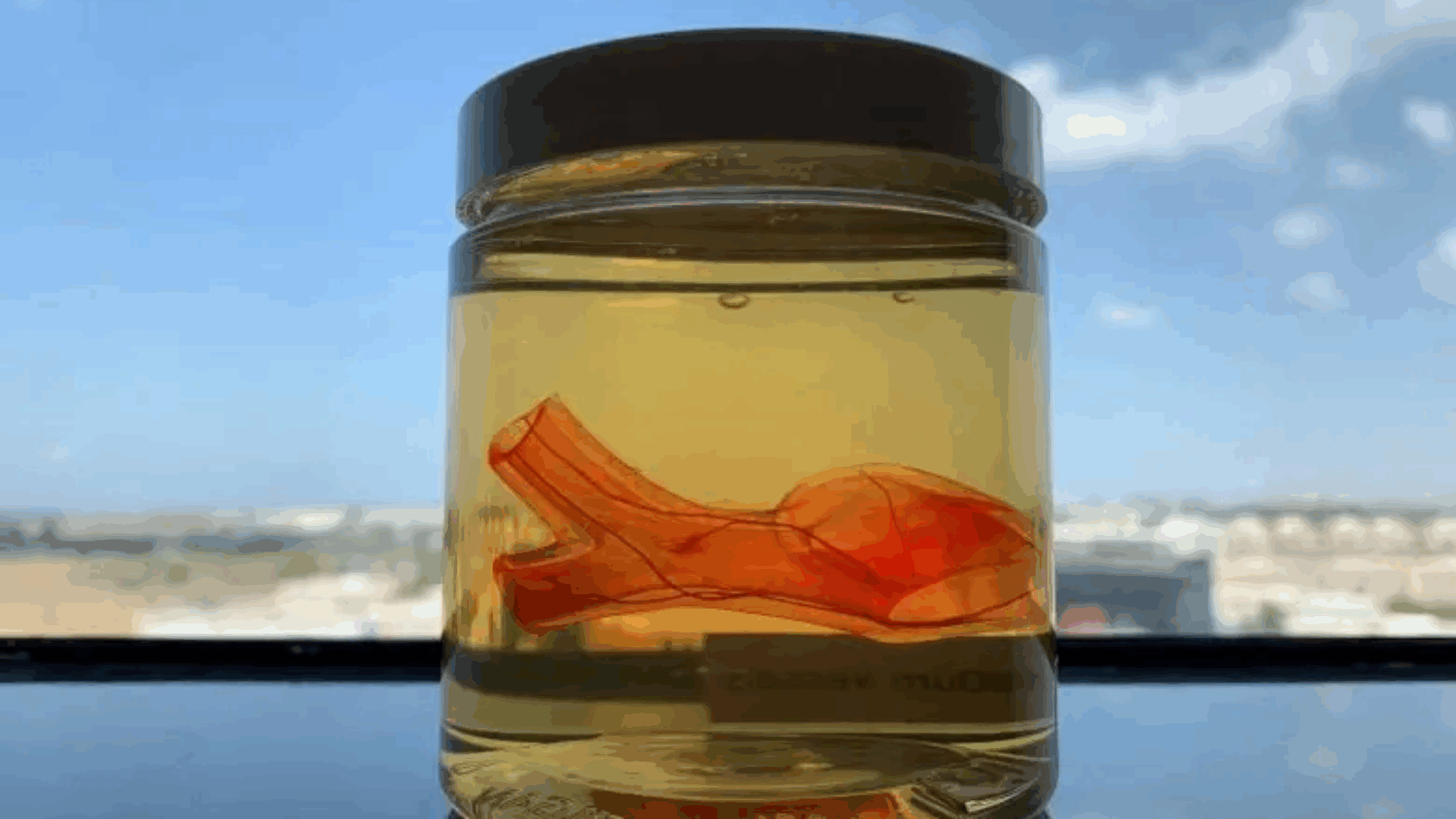 CollPlant Biotechnologies Releases Shareholder Letter to Cap 2020