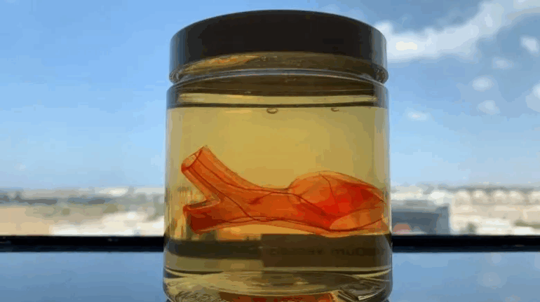 CollPlant Biotechnologies Releases Shareholder Letter to Cap 2020