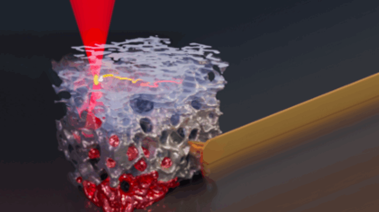 Ending Animal Testing, Stuttgart Research on 3D Printed Soft Tissue Substitute