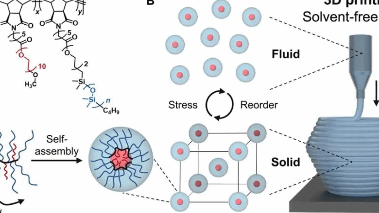 Postdocs at UCSB Develop a Bottlebrush Elastomer for AM Materials