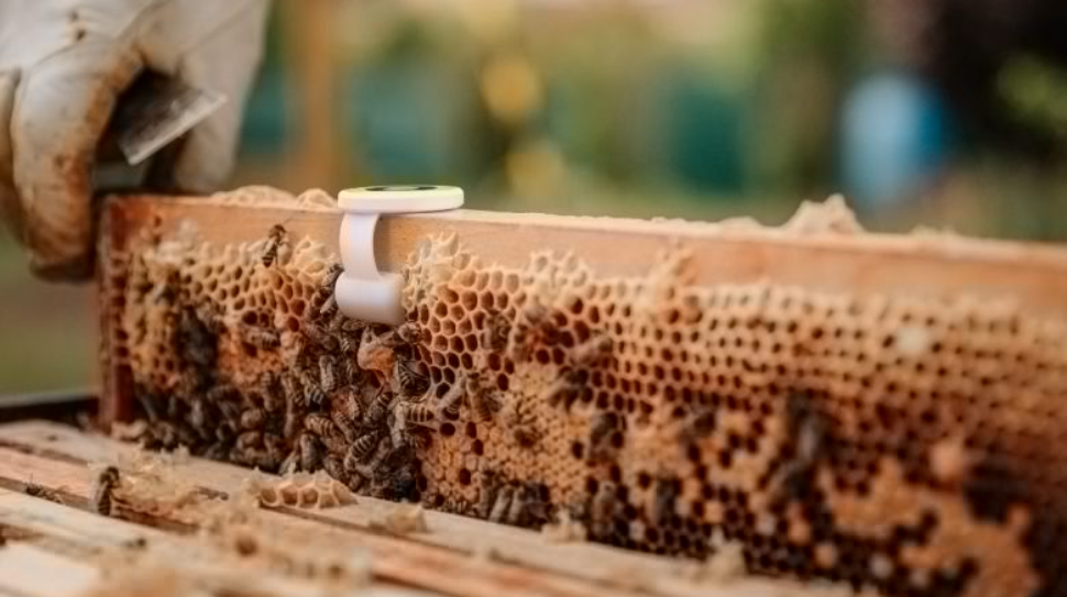 Shapeways’ System Helps Beehives, Off-roaders, and Brewers