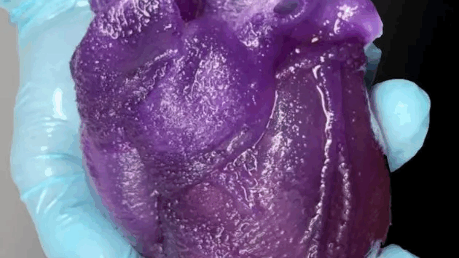 This Squishy 3D-Printed Human Heart Feels Like the Real Thing