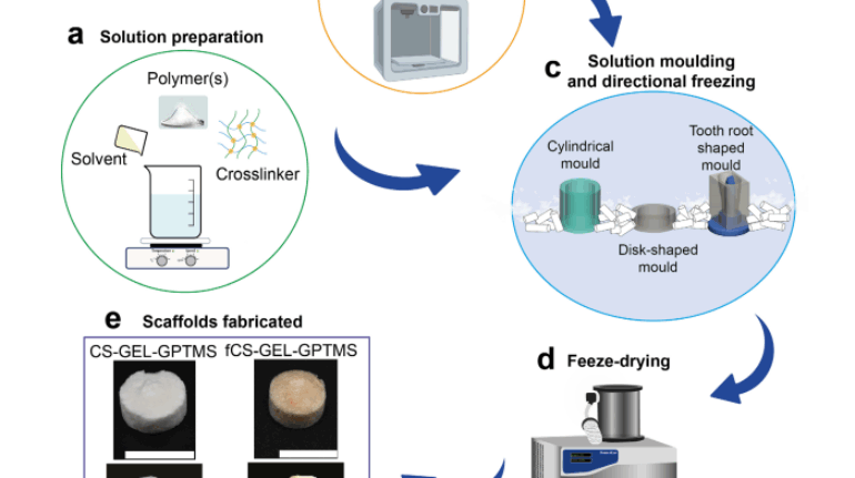Researchers Move Closer to Regenerative Dentistry with 3D Printing