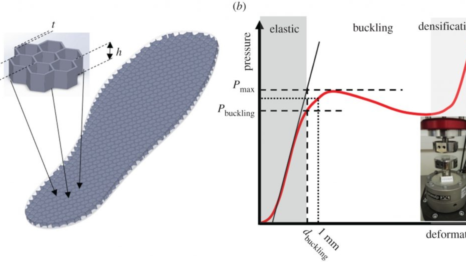 Affordable 3D Printed Insoles Prevent Deadly Diabetic Foot Ulcer Growth