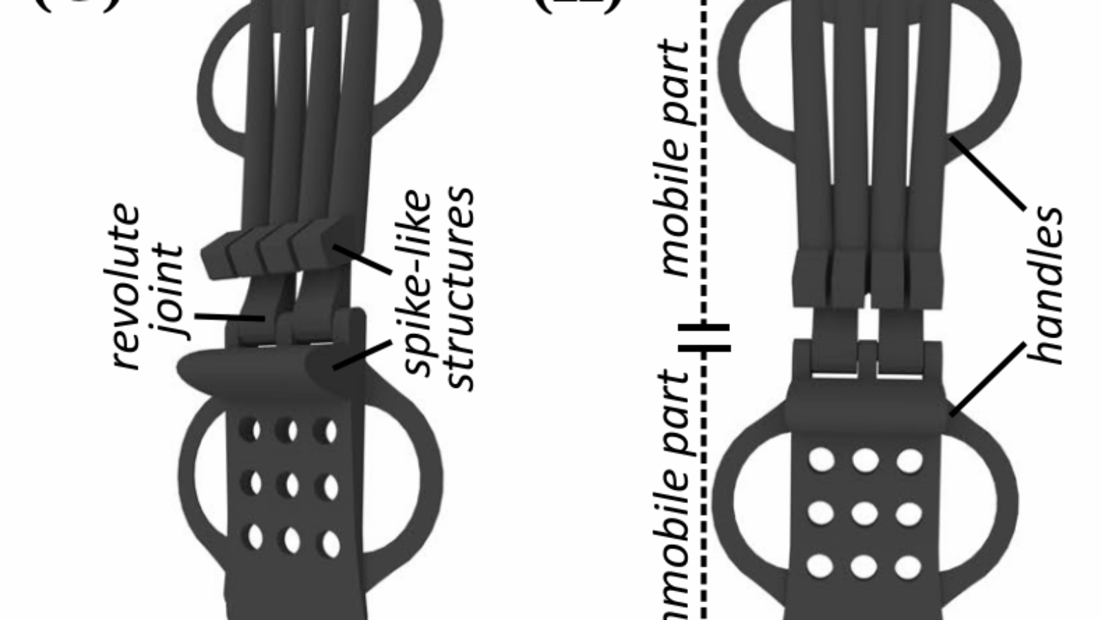 Scientists 3D Print New Dragonfly-Inspired ‘Spiky-joints’ for Treating Wrist Injuries