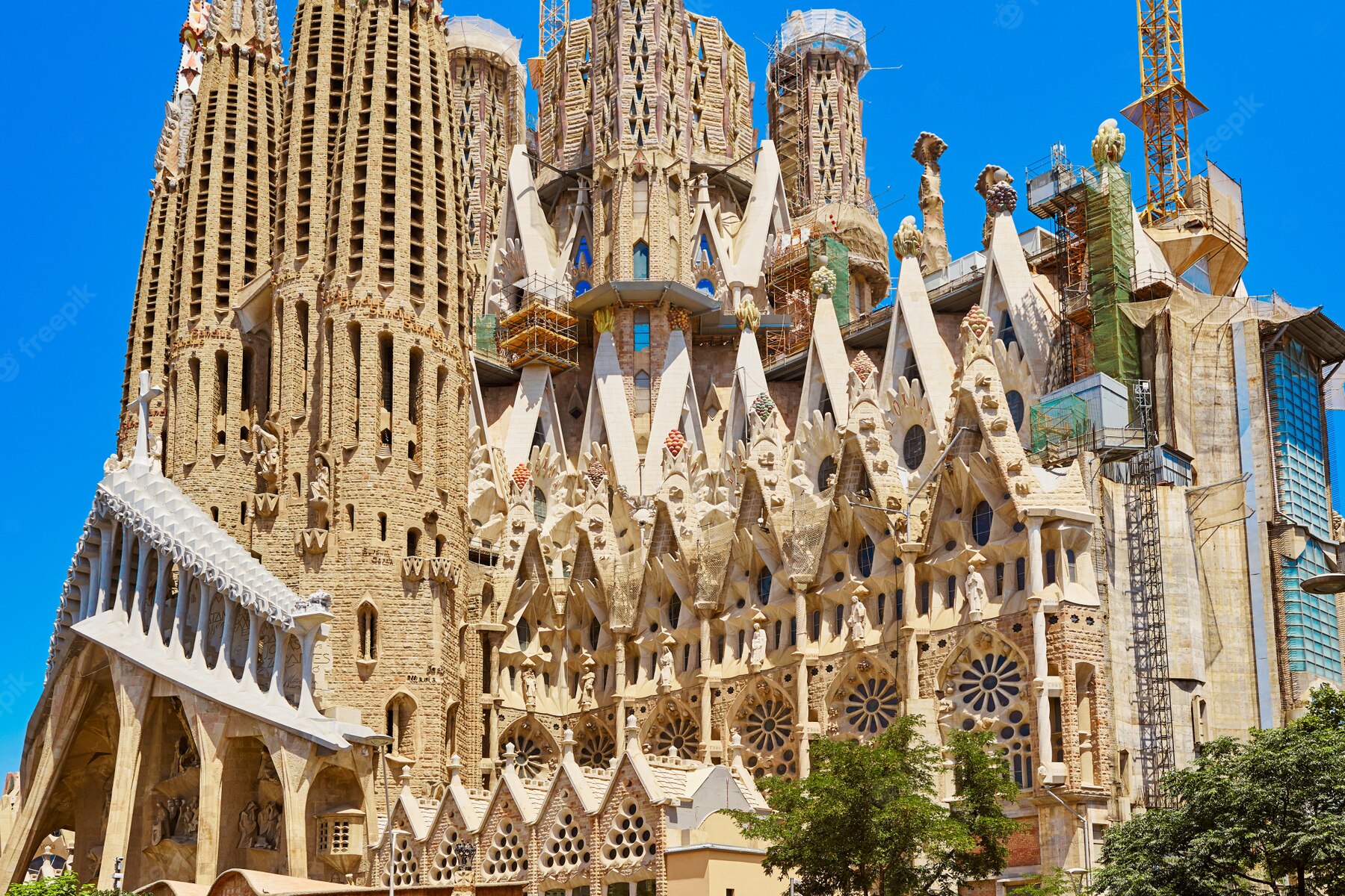 Antoni Gaudí’s Sagrada Familia column digitally replicated AM Software