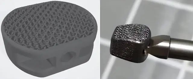 Design and object of a new 3D printed porous tantalum intervertebral fusion device.