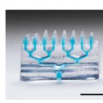 Continuity Biosciences backs Joseph DeSimone PinPrint’s unique 3D printed microneedle tech