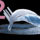 5421159be3ad7eb5fb1b6c4a8eb2add7.jpg