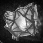 ETH Zurich Develops 3D Printed Heart Patch to Support Tissue Regeneration