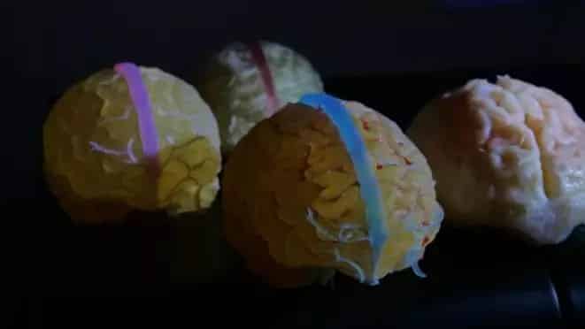 3D Printed Human Body Helps Medical Students Learn Anatomy4