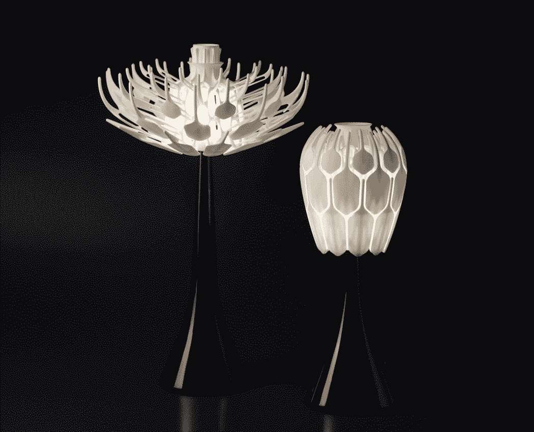 3D printed Bloom lamp (6)