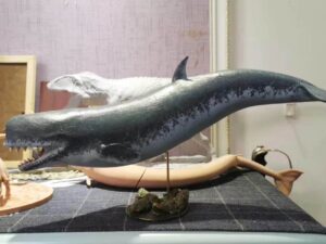 SLA 3D Printed 1:35 Livyatan Whale Model
