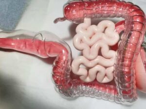 Daily FacFox: September 24, 2020 at 12:00AM