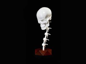 FDM 3D Printed Skull Lamp