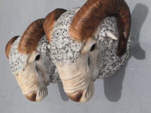 SLA 3D Printed and Painted Ovis Ammon Head Sculpture