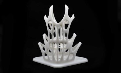 SLS 3D Printed White Nylon Coral-like Artpiece