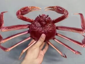SLA 3D Printed Fine-Painted Fake Seafood Models