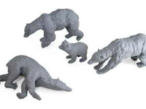 LCD 3D Printed Lifelike Grey Resin Bear Models