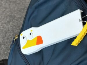 FDM 3D Printed Funny Seagull DJI Pocket 3 Case