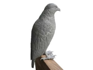 LCD 3D Printed Resin Bird Statue with Ultra-Fine Details