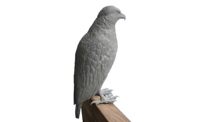 LCD 3D Printed Resin Bird Statue with Ultra-Fine Details